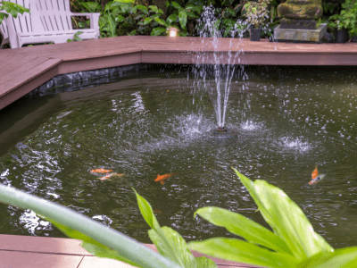 Image of koi pond at Lotus Garden Cottages in Volcano Hawaii