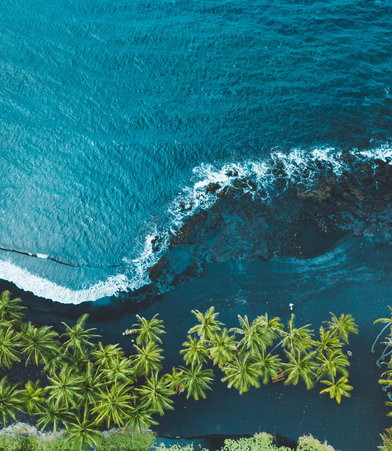 Image of turtle bay on the big island of Hawaii