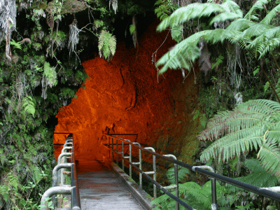 Lava Tubes on Big Island of Hawaii